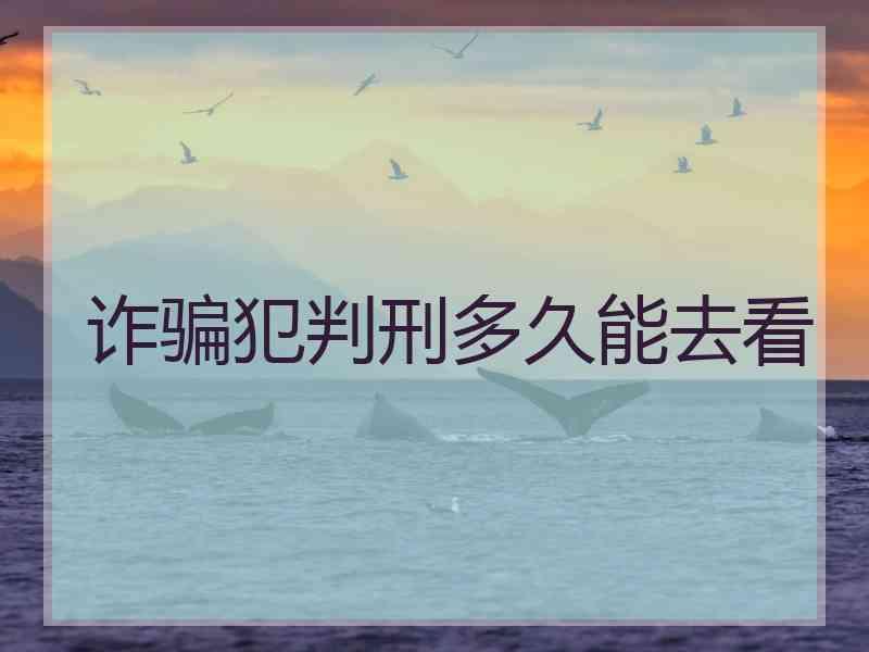 诈骗犯判刑多久能去看