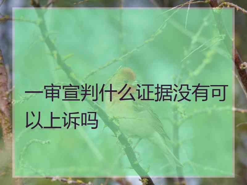 一审宣判什么证据没有可以上诉吗