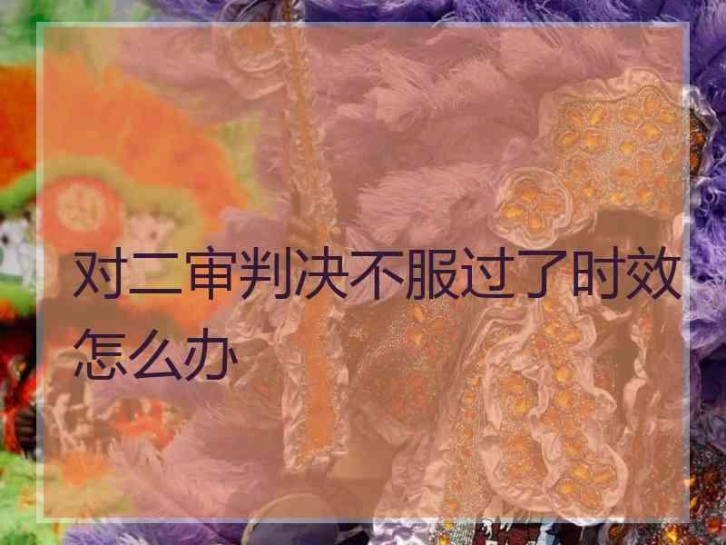 对二审判决不服过了时效怎么办