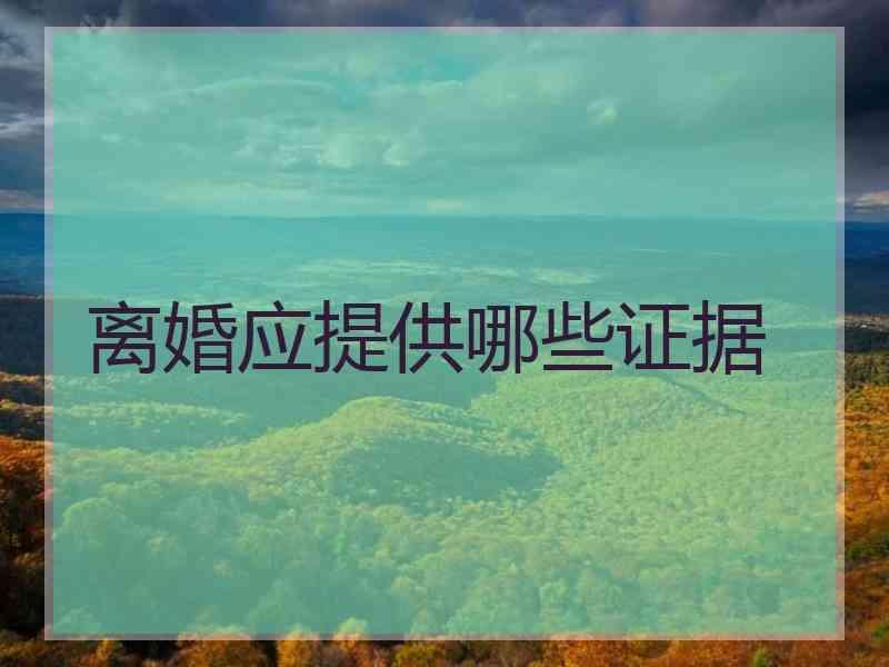 离婚应提供哪些证据
