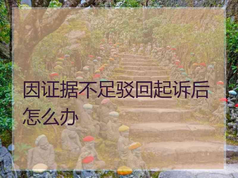 因证据不足驳回起诉后怎么办