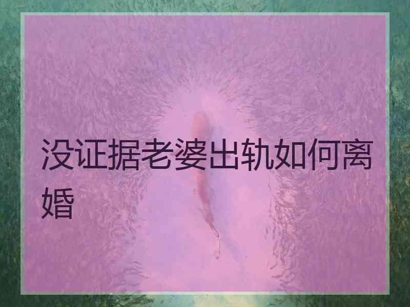 没证据老婆出轨如何离婚