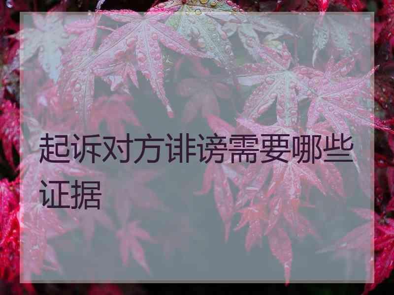 起诉对方诽谤需要哪些证据