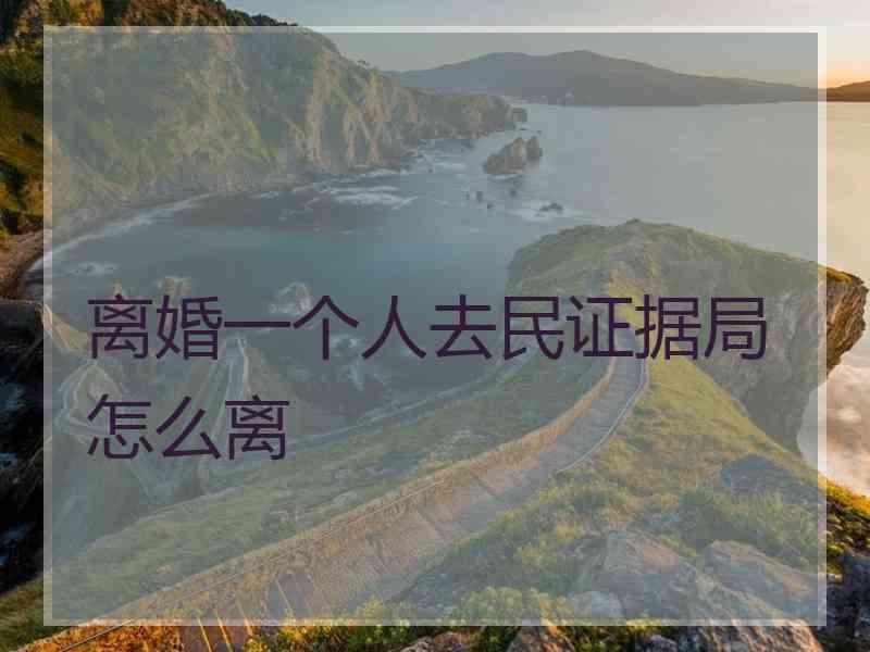 离婚一个人去民证据局怎么离