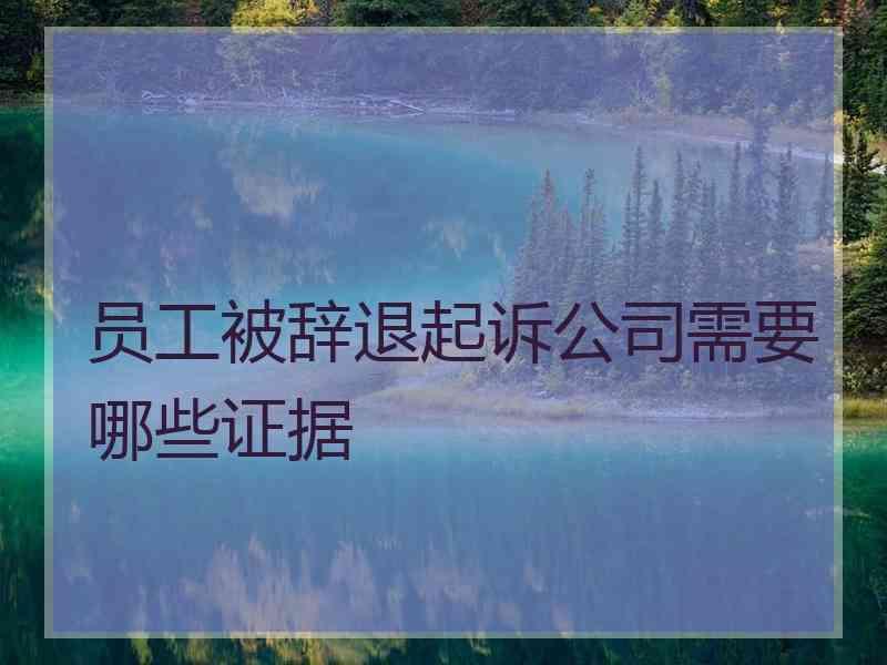 员工被辞退起诉公司需要哪些证据