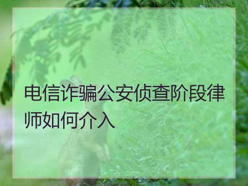 电信诈骗公安侦查阶段律师如何介入