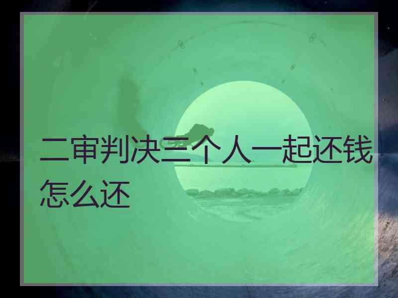 二审判决三个人一起还钱怎么还