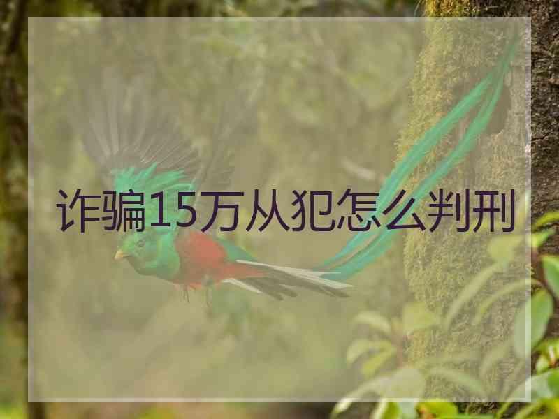 诈骗15万从犯怎么判刑