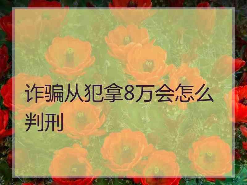 诈骗从犯拿8万会怎么判刑
