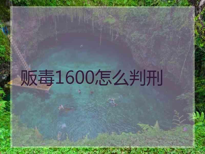 贩毒1600怎么判刑