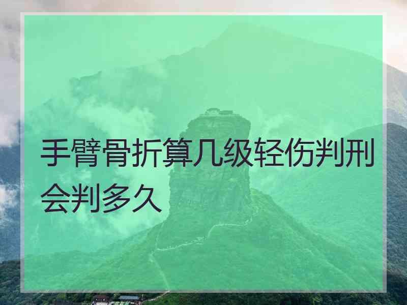 手臂骨折算几级轻伤判刑会判多久