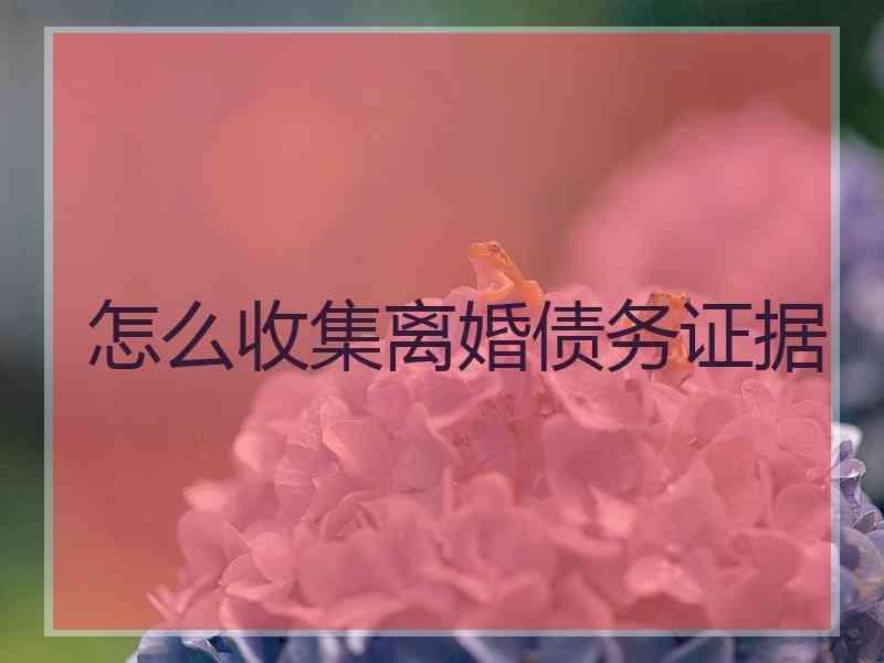 怎么收集离婚债务证据