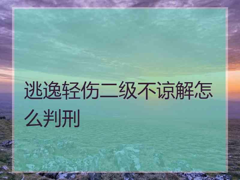 逃逸轻伤二级不谅解怎么判刑