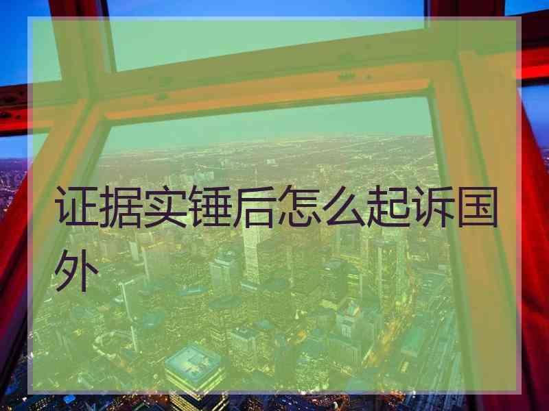 证据实锤后怎么起诉国外