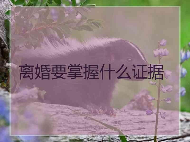 离婚要掌握什么证据