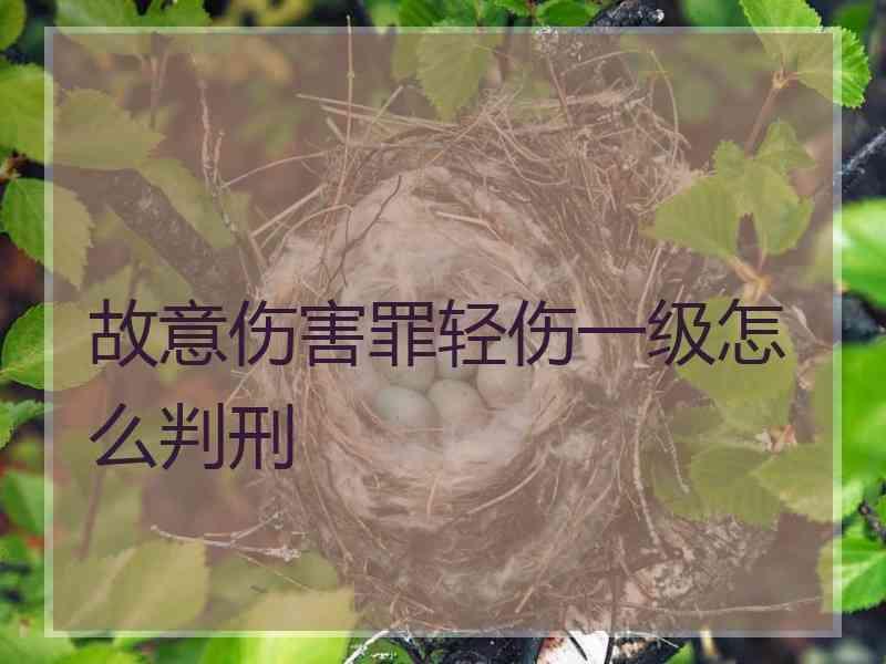 故意伤害罪轻伤一级怎么判刑