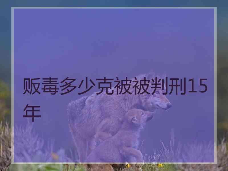 贩毒多少克被被判刑15年