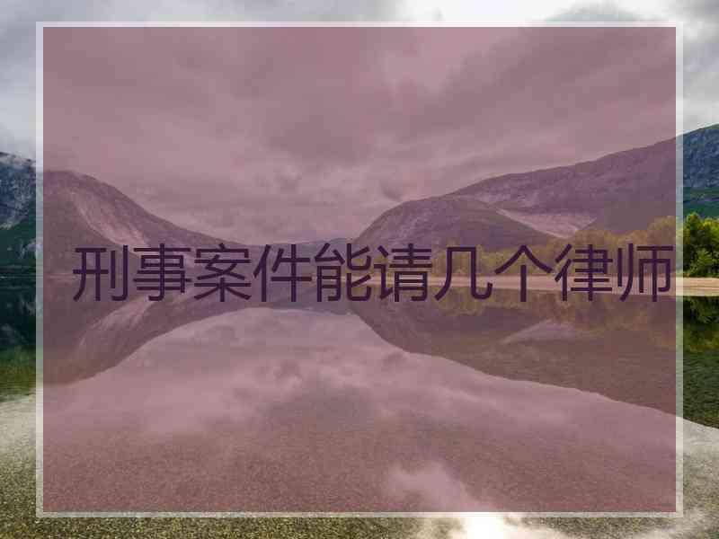 刑事案件能请几个律师