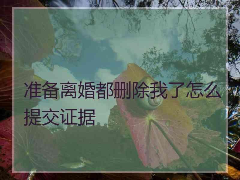 准备离婚都删除我了怎么提交证据