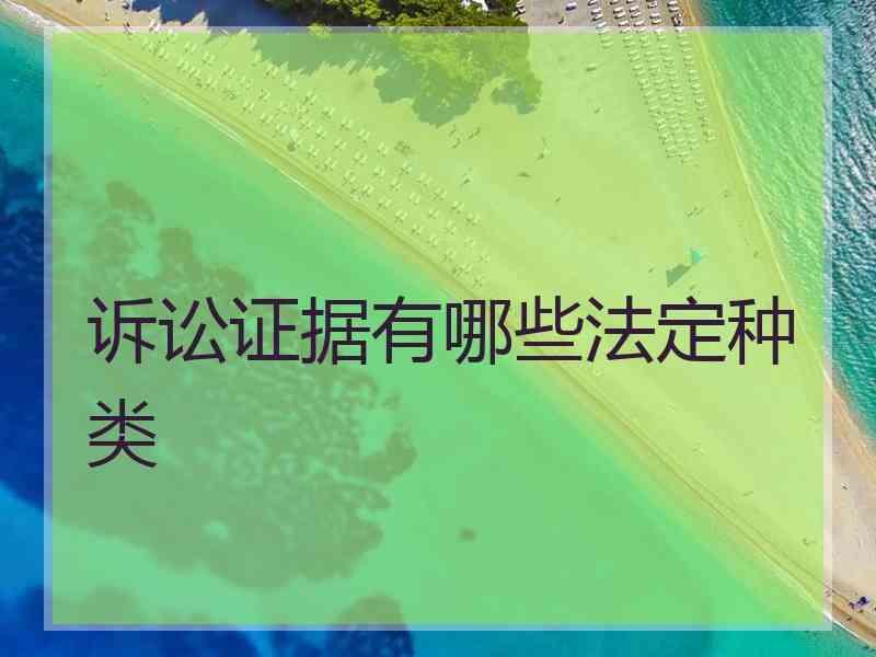 诉讼证据有哪些法定种类