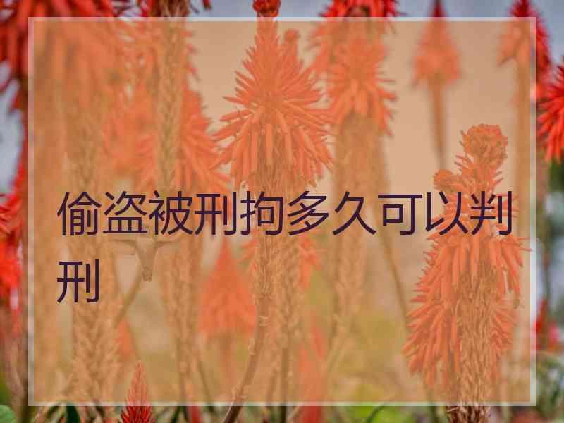 偷盗被刑拘多久可以判刑