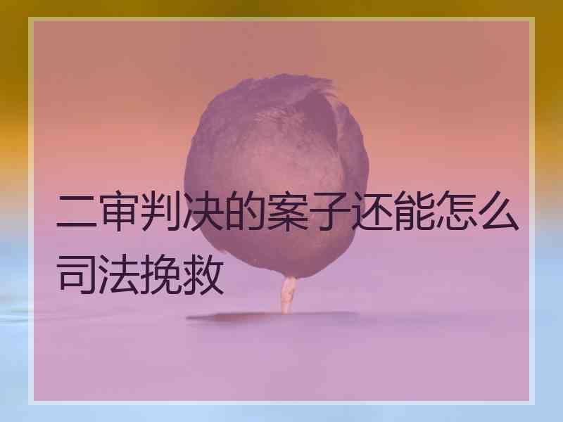 二审判决的案子还能怎么挽救