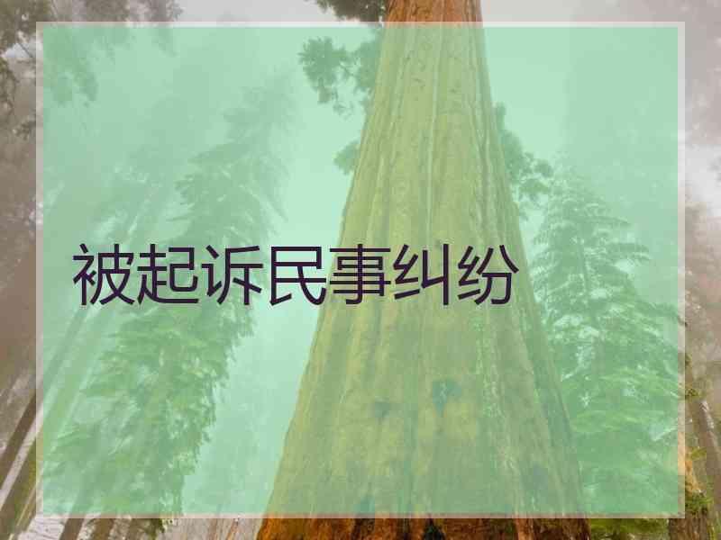 被起诉民事纠纷