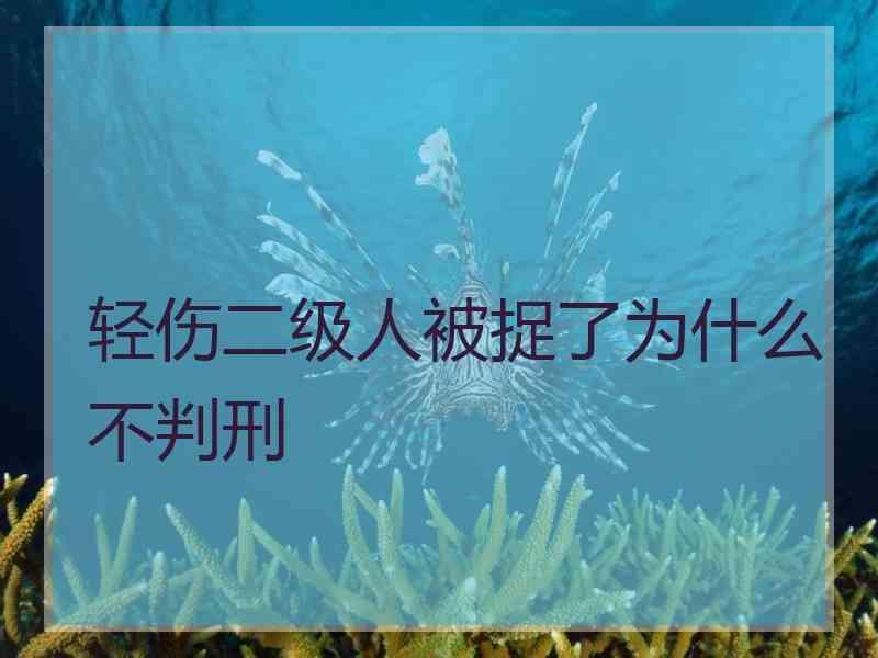 轻伤二级人被捉了为什么不判刑