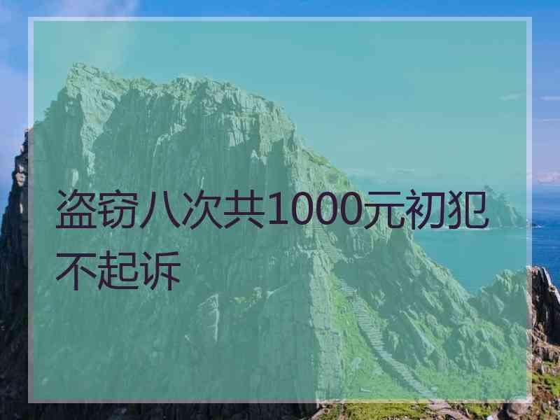 盗窃八次共1000元初犯不起诉