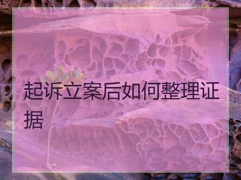 起诉立案后如何整理证据