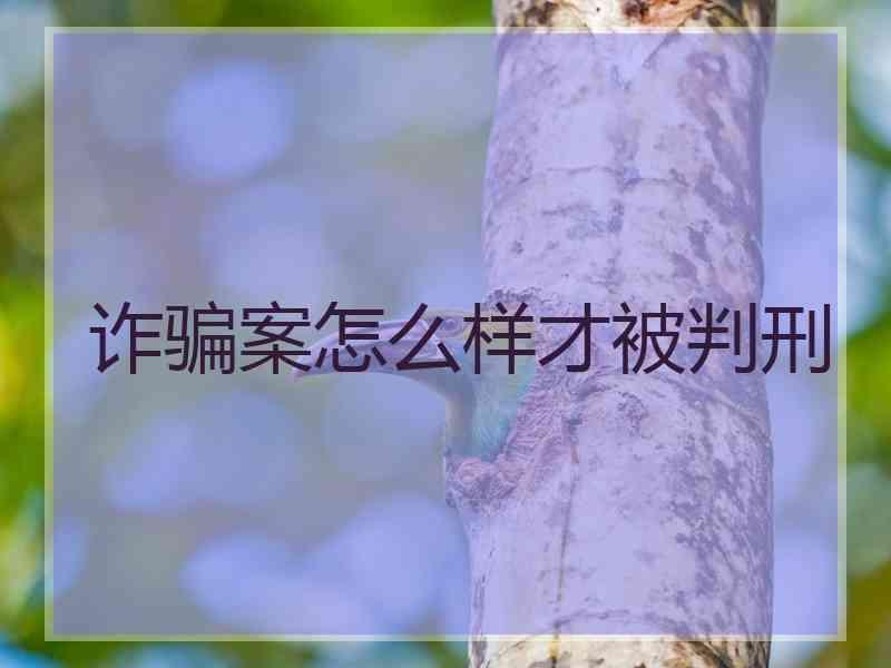 诈骗案怎么样才被判刑