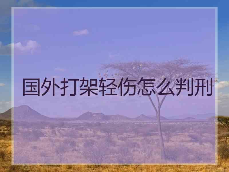 国外打架轻伤怎么判刑