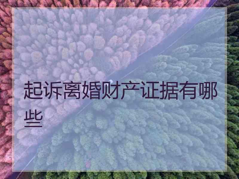 起诉离婚财产证据有哪些