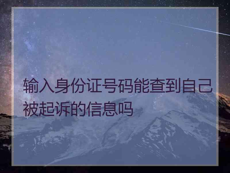 输入身份证号码能查到自己被起诉的信息吗