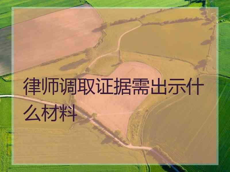 律师调取证据需出示什么材料