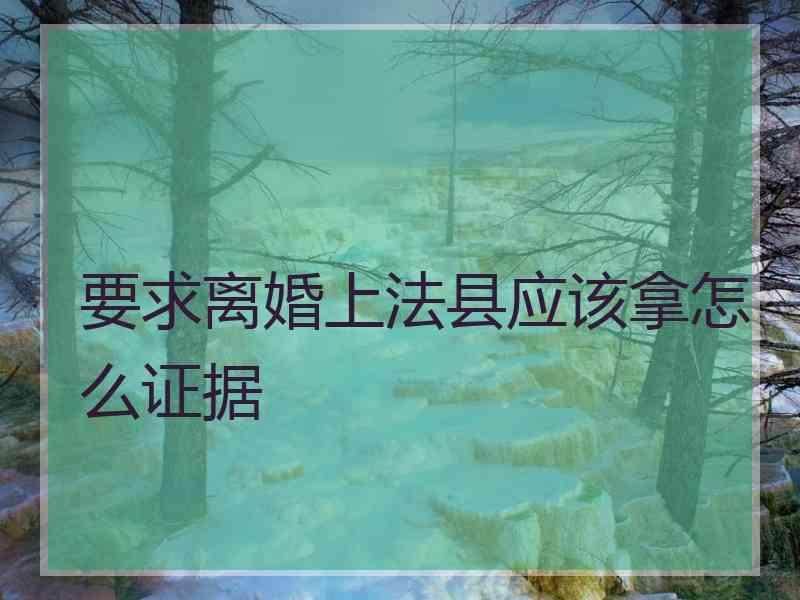 要求离婚上法县应该拿怎么证据