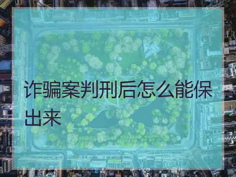 诈骗案判刑后怎么能保出来