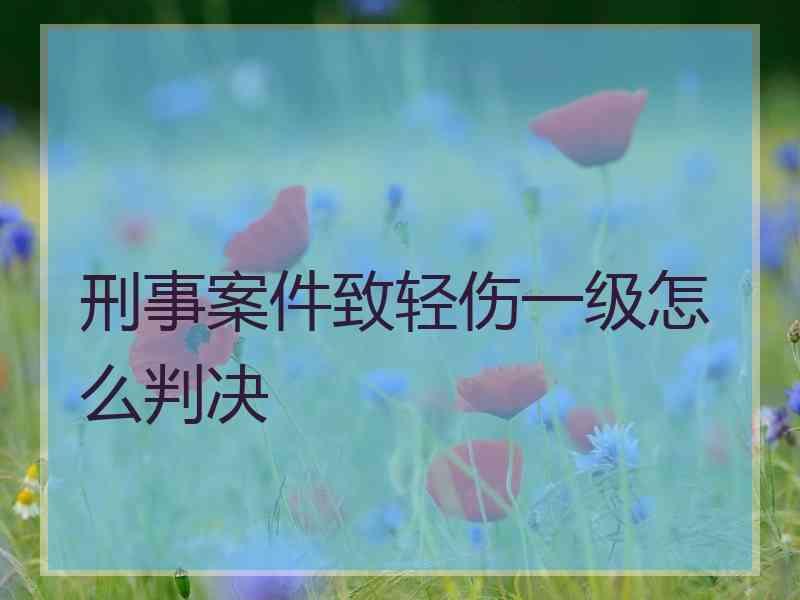 刑事案件致轻伤一级怎么判决