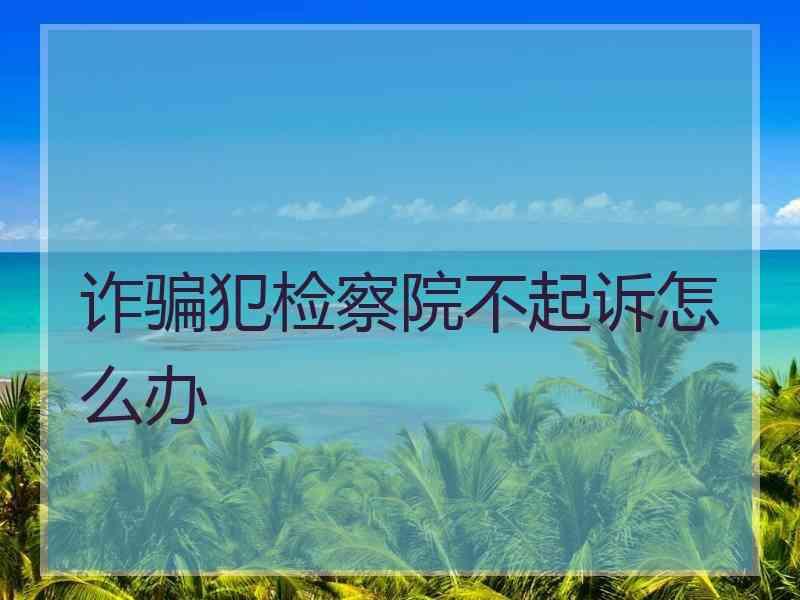 诈骗犯检察院不起诉怎么办