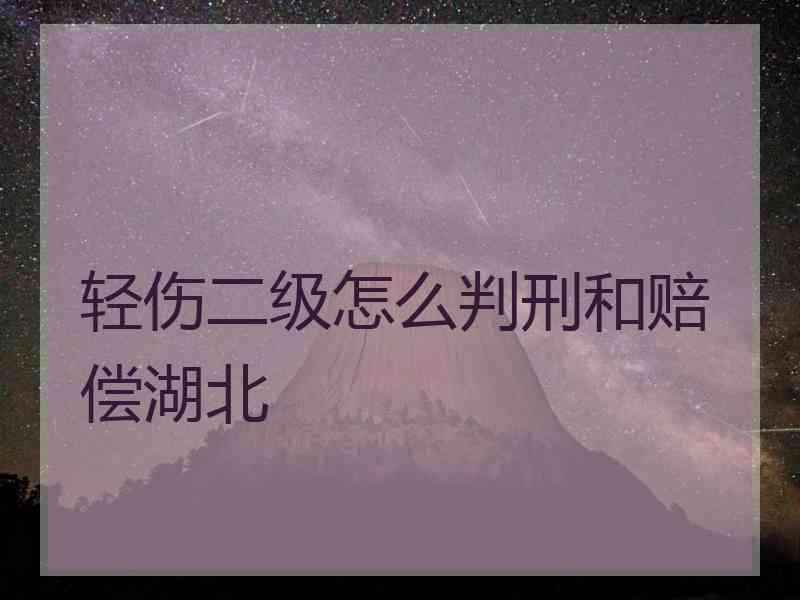 轻伤二级怎么判刑和赔偿湖北