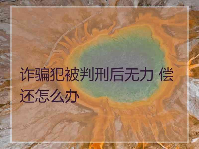 诈骗犯被判刑后无力 偿还怎么办