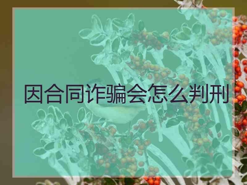 因合同诈骗会怎么判刑