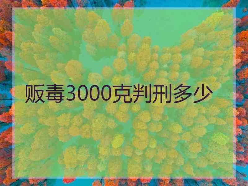 贩毒3000克判刑多少