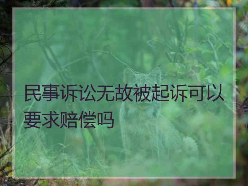 民事诉讼无故被起诉可以要求赔偿吗