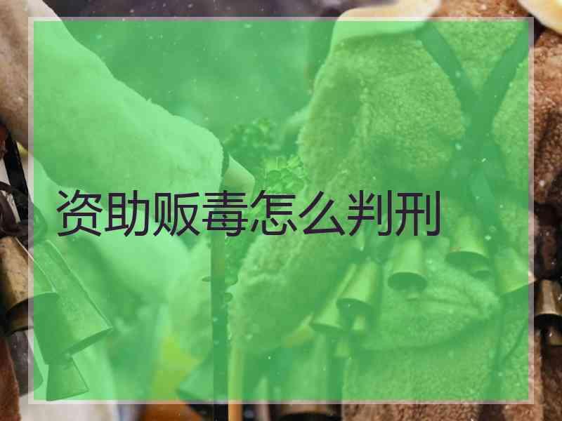 资助贩毒怎么判刑