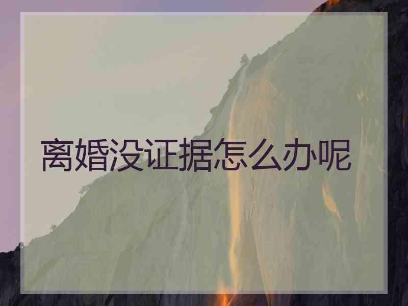 离婚没证据怎么办呢