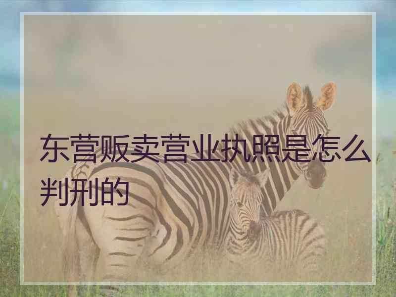 东营贩卖营业执照是怎么判刑的