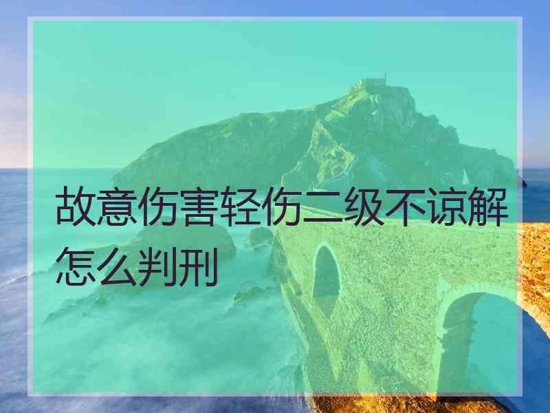 故意伤害轻伤二级不谅解怎么判刑