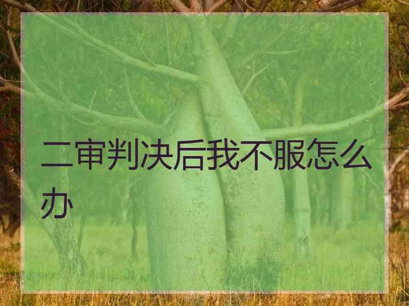 二审判决后我不服怎么办