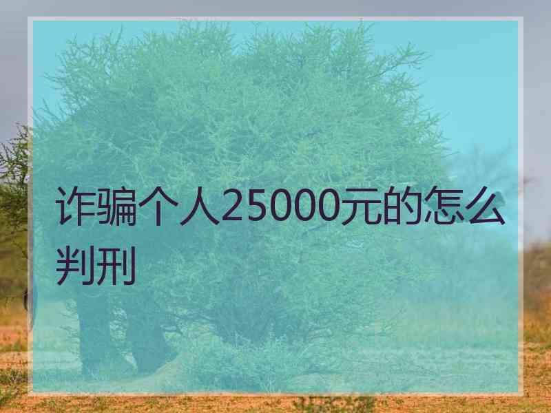 诈骗个人25000元的怎么判刑